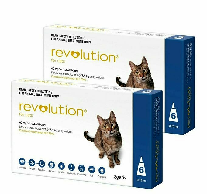 Bissell ProHeat 2X Revolution Pet Pro Teppichreiniger Testbericht